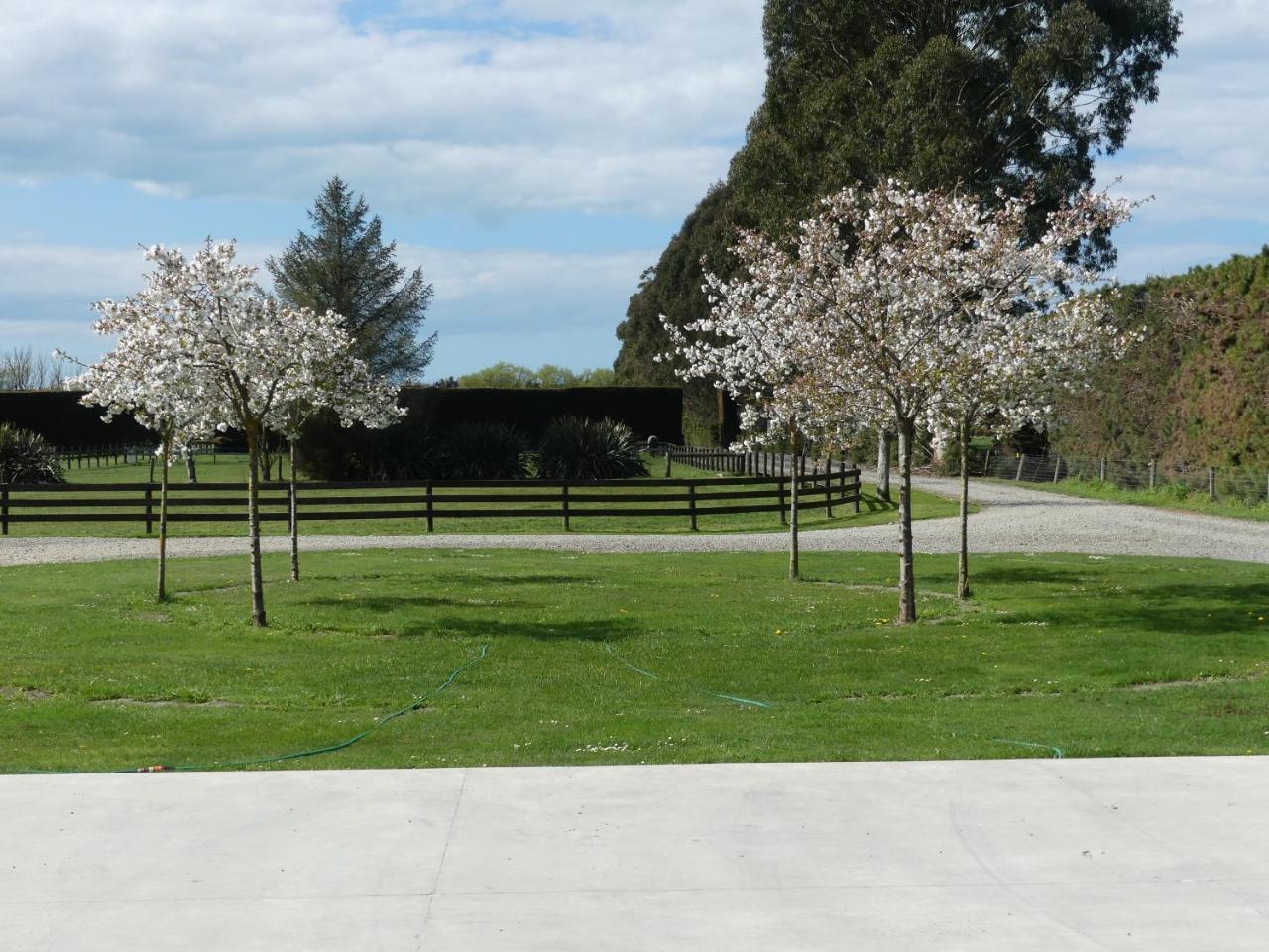 Bramley'S Stables And Accommodation Rangiora Esterno foto